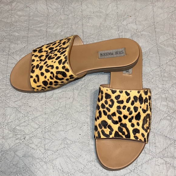 Slides - Picture 2 of 2